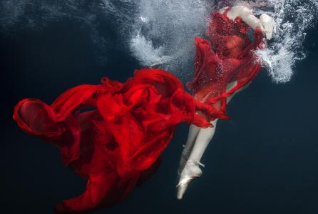 1_bea00379.jpg_60x80_peine