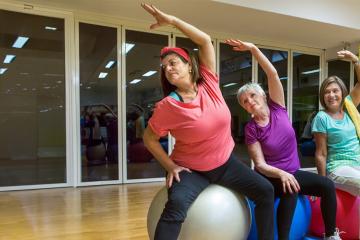 foto destacado yoga y gimnasia