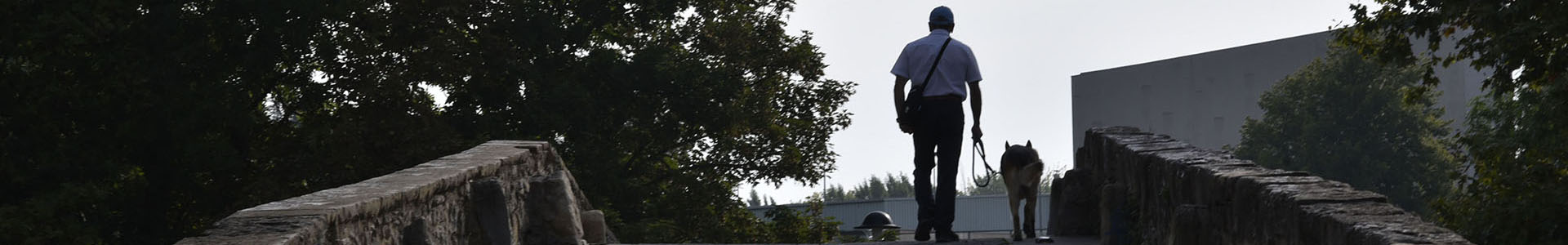 Cabecera participacion