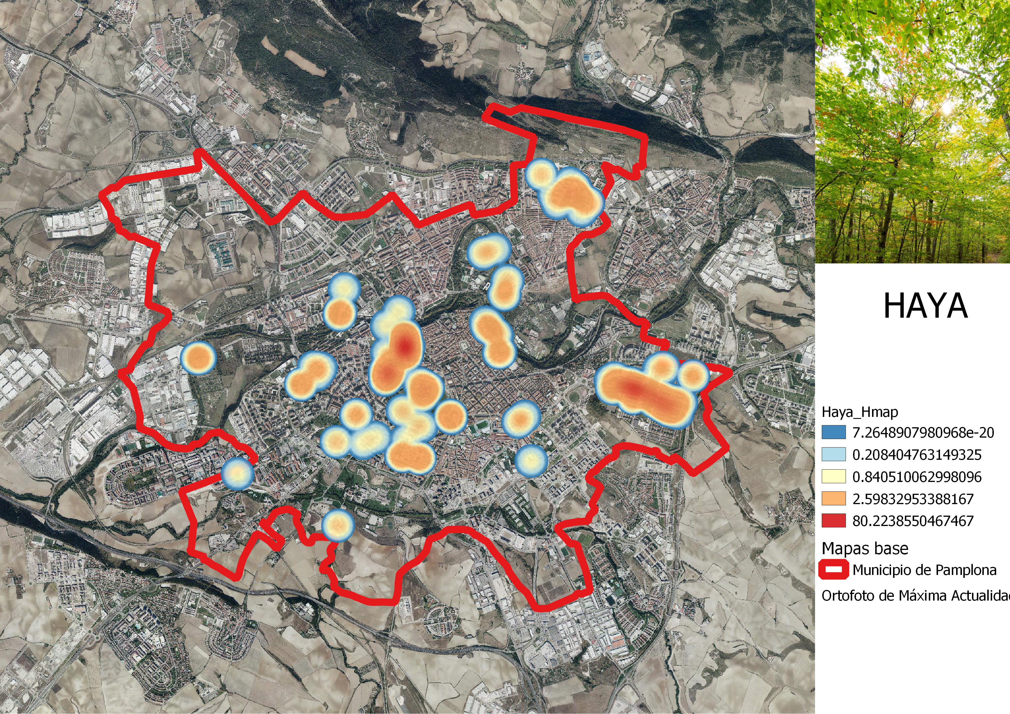 Haya_Hmap_1.png