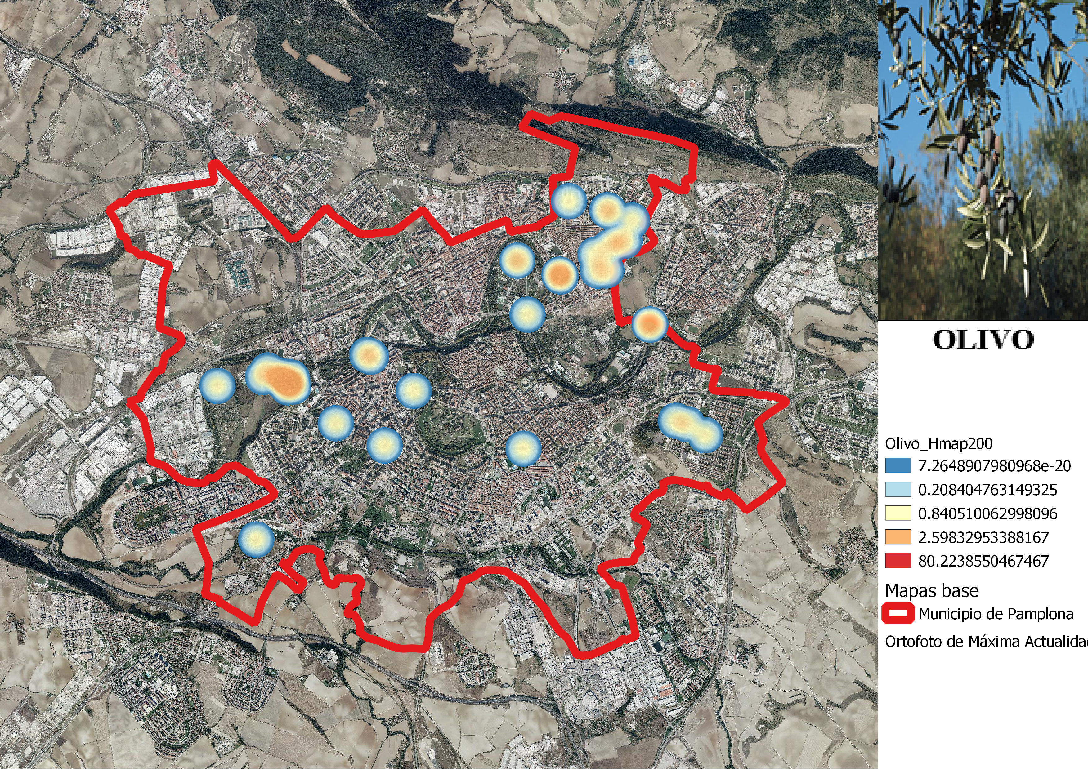 Olivo_Hmap_1.png